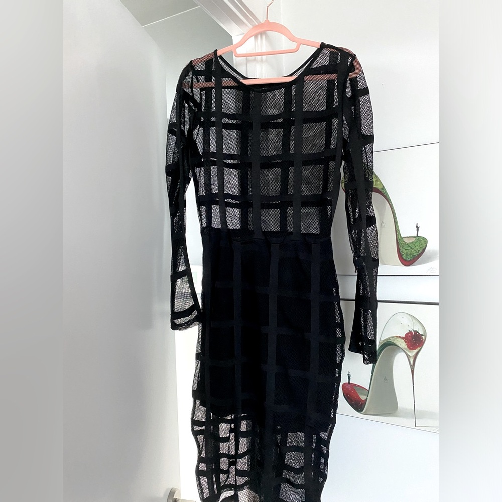 Symphony Sheer Bodycon Dress